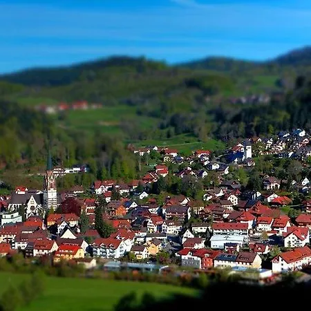 מלון Kirchbuehl Im Schwarzwald Schönau im Schwarzwald