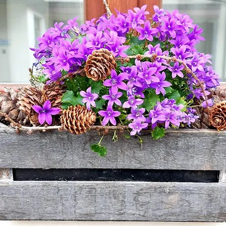 Kirchbuehl Im Schwarzwald Schönau im Schwarzwald